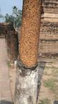 the laterite pillars of Wat Mahathat